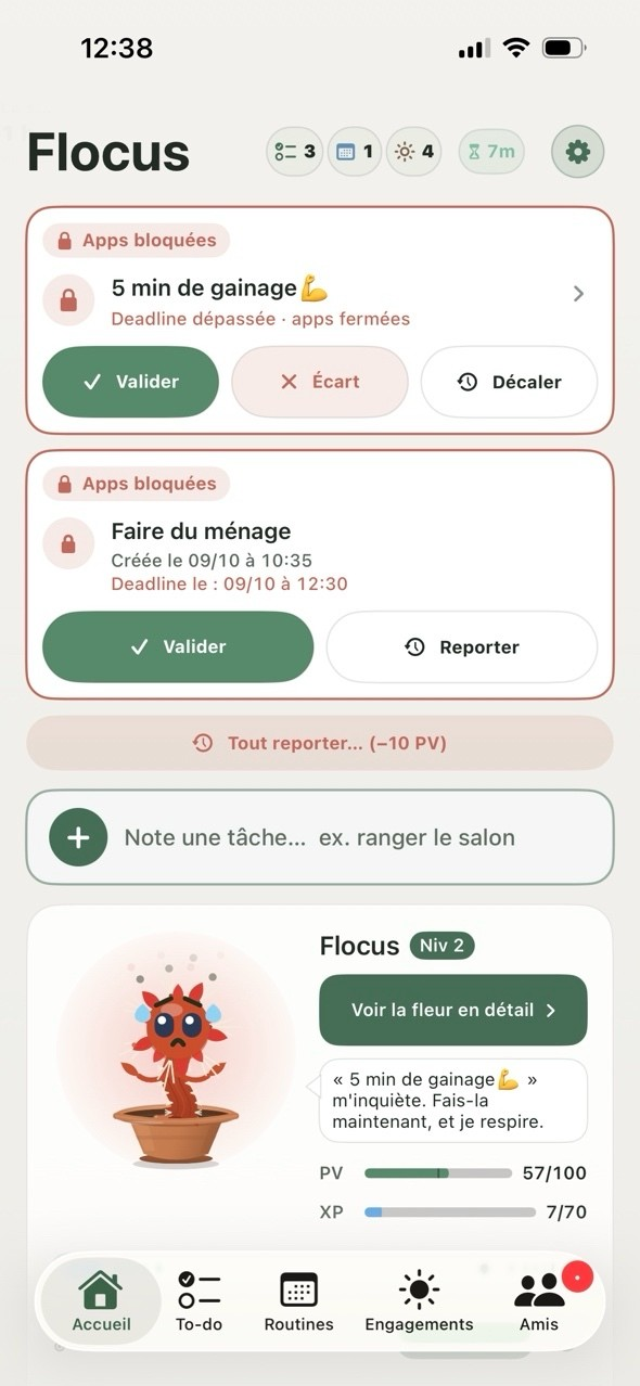 Accueil réel de Flocus : repères du jour, routine de gainage et tâche à traiter, ajout rapide, fleur et cinq onglets